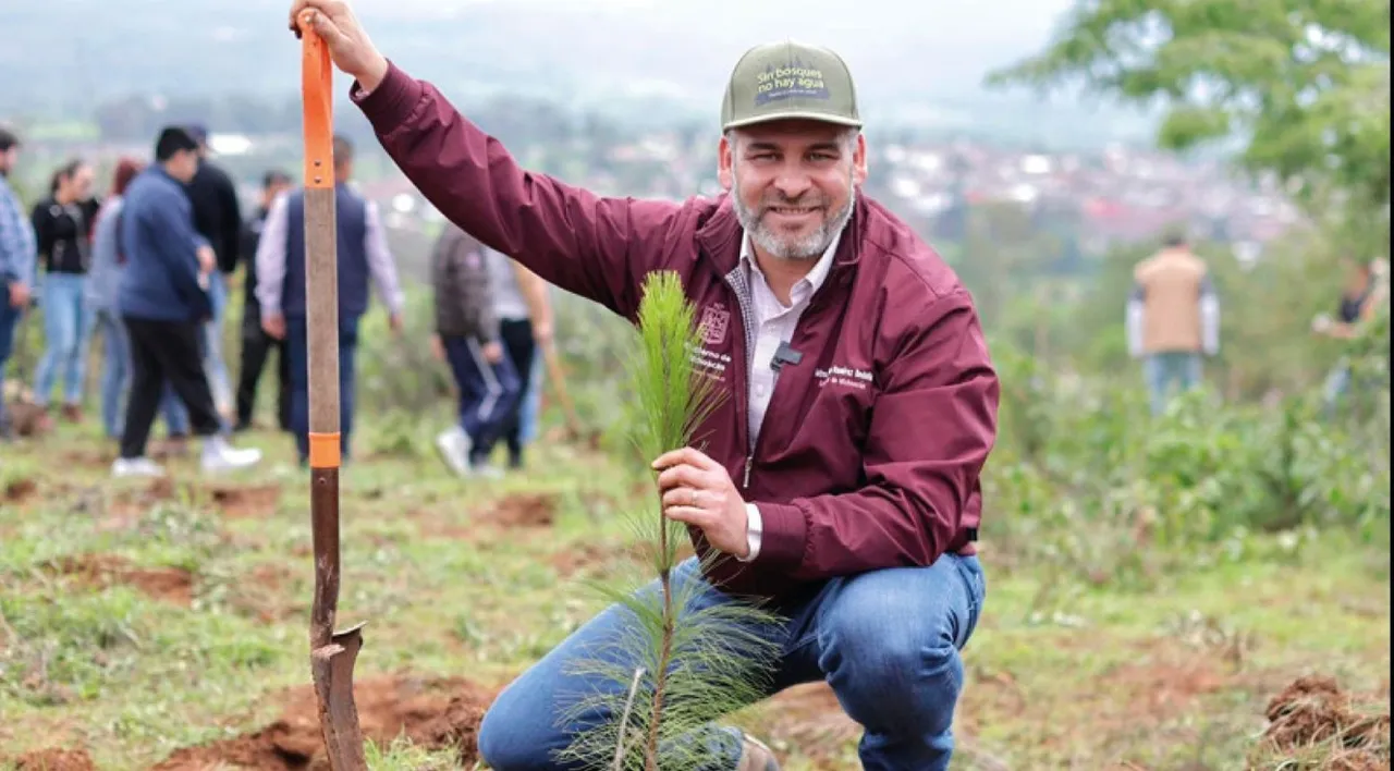 Michoacán plantará 70 mil Árboles