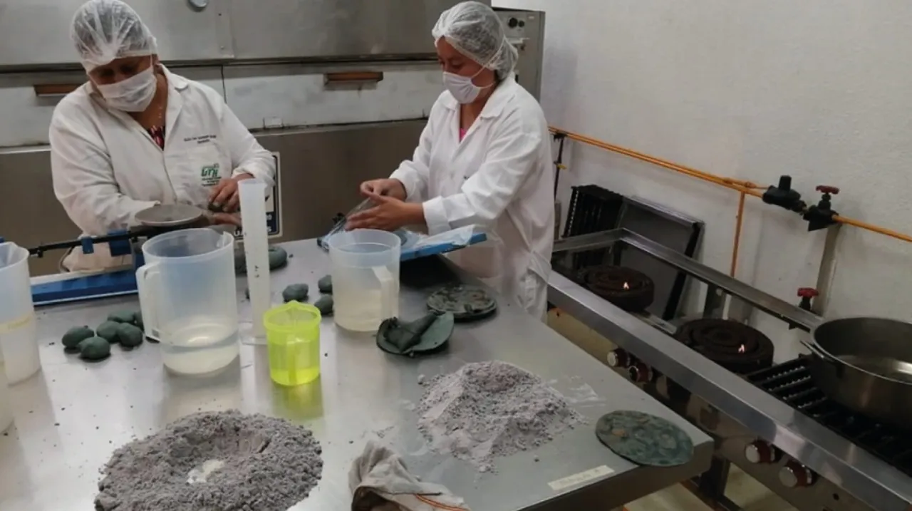 Puebla estudia al Maíz Azul Puebla estudia al Maíz Azul