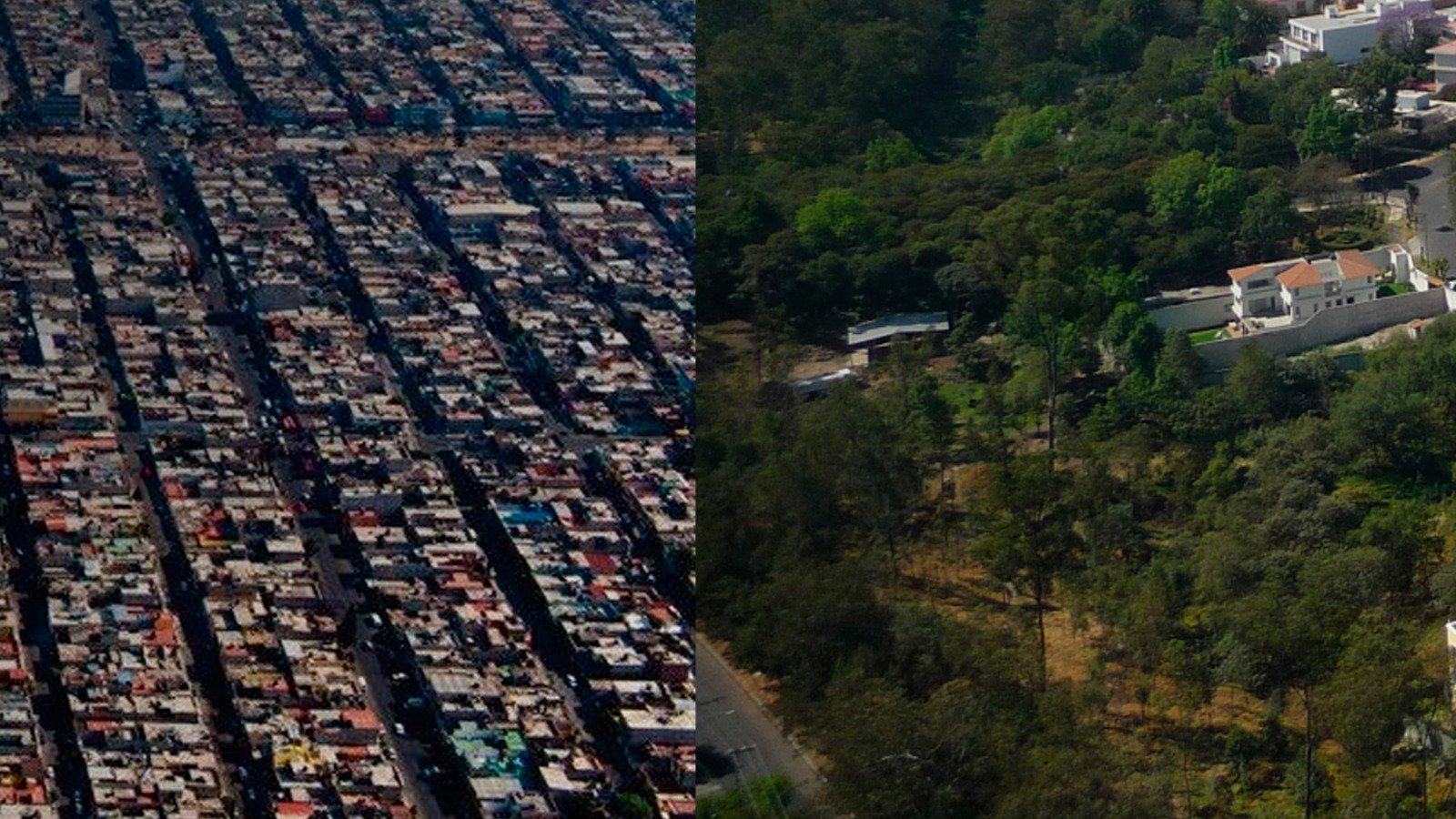Sombra fresca y aire limpio, casi un lujo sin alcance