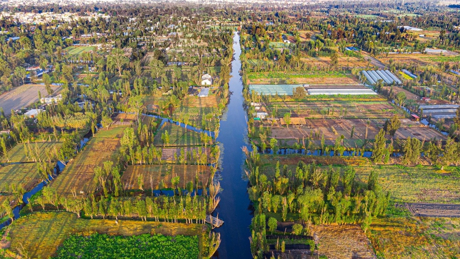 El renacer de las Chinampas