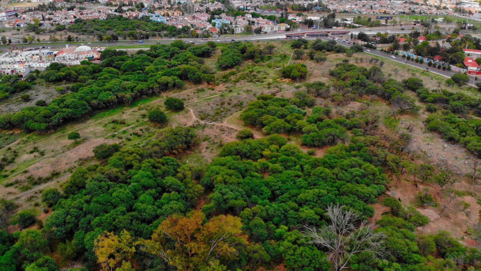 Ecocidio en el último pulmón de Aguascalientes