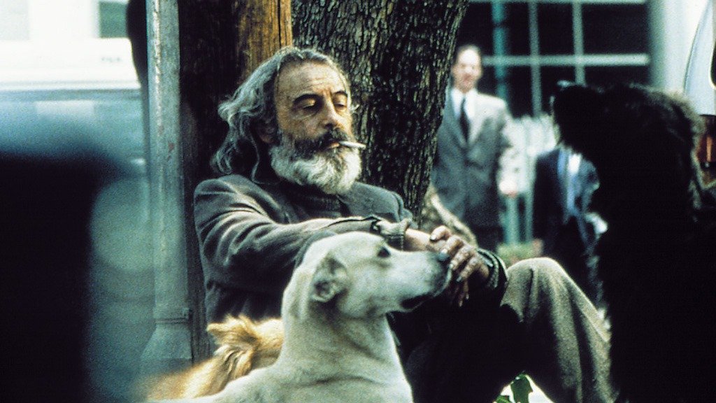 Material inédito de Amores Perros llega a Chapultepec
