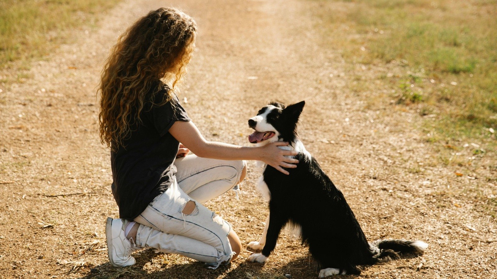 Su valentía salvó a un perro, su ejemplo podría salvar a miles en México