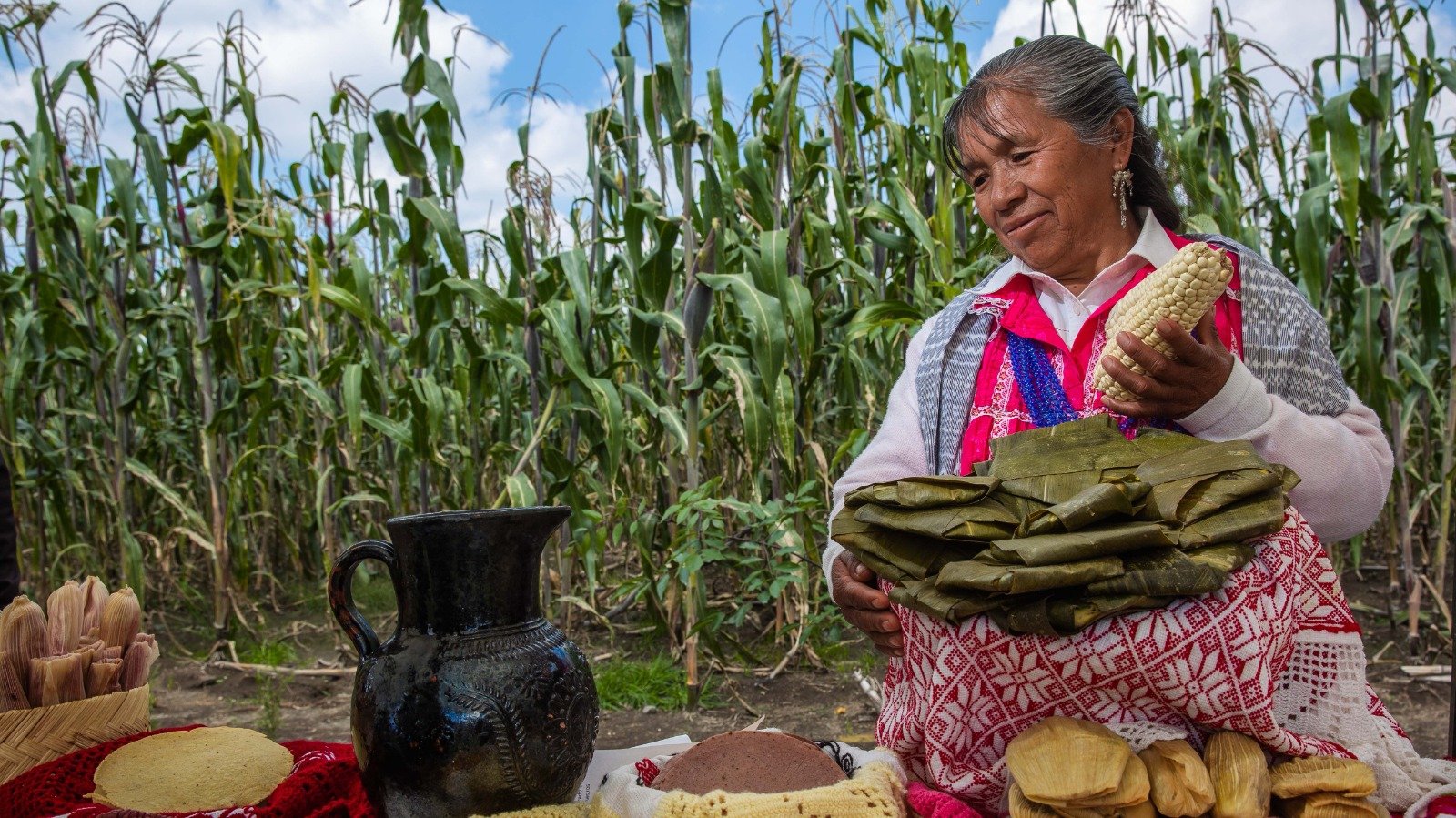 Los agricultores, pilares invisibles de México