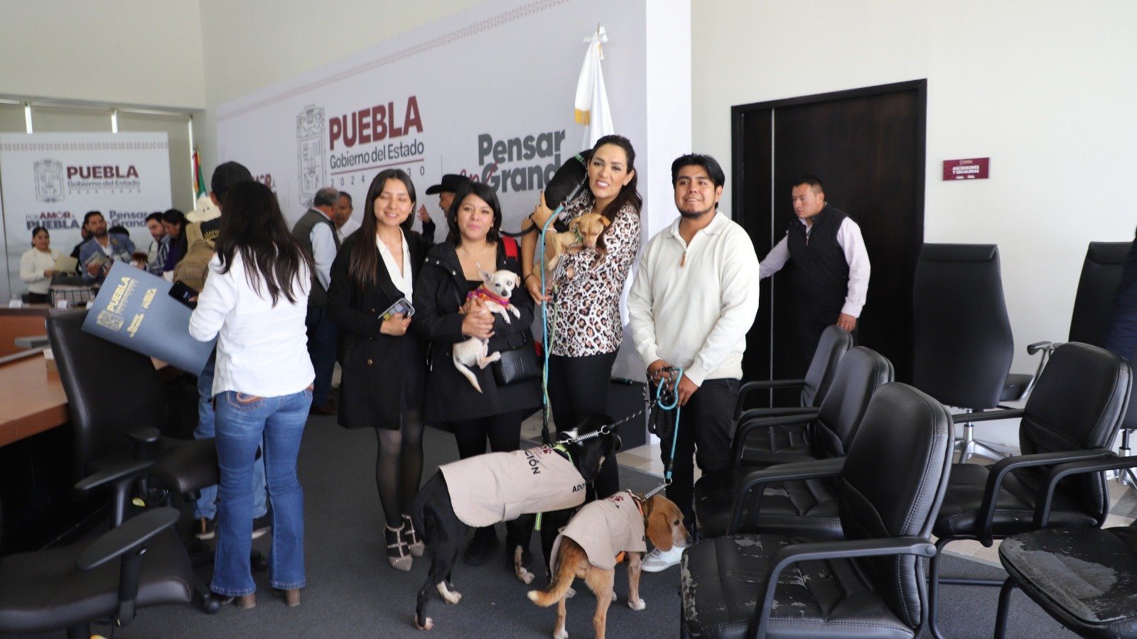 Puebla lanza campañas para proteger a los seres sintientes en temporada invernal
