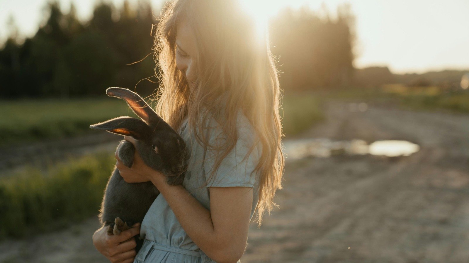 Día Internacional de los derechos humanos y animales