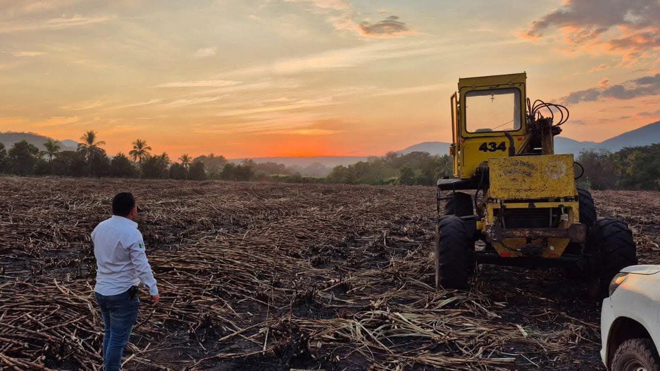 Inversión al sector cañero de Michoacán