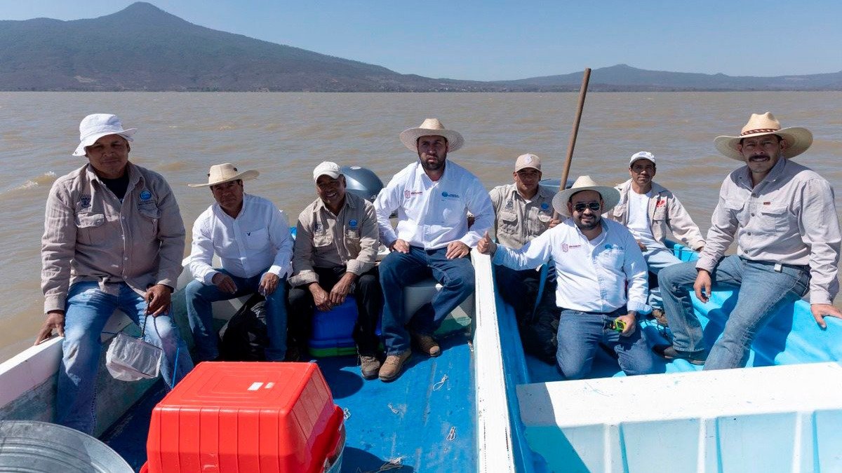 Michoacán siembra vida con 200,000 peces nativos