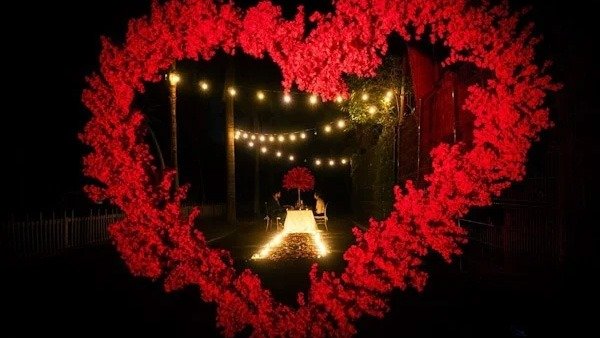 Cena inolvidable en el Zoológico de Morelia