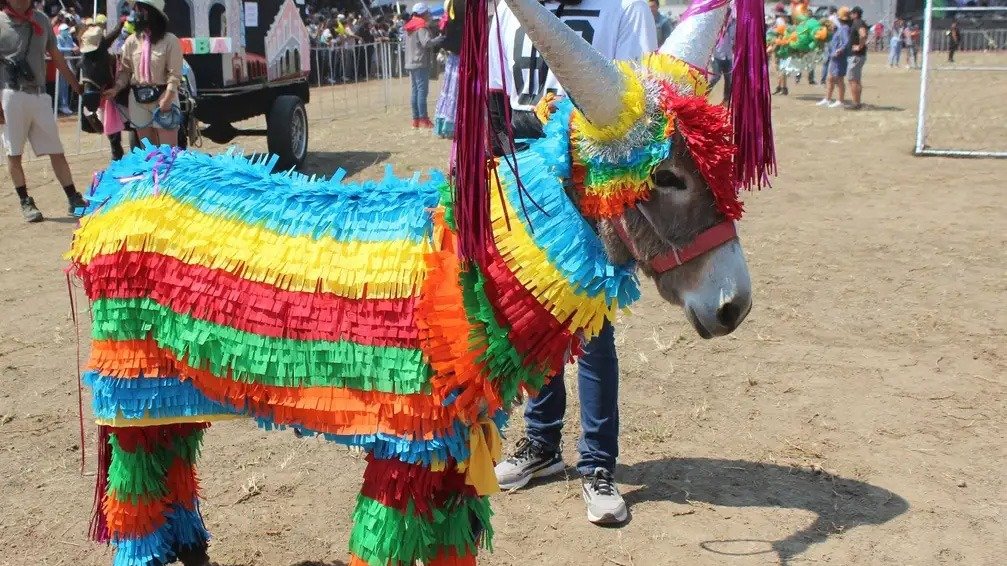 Famoso y adorable: El burro mexicano