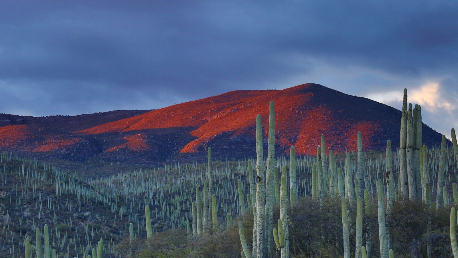 Imperdible destino en Puebla que alguna vez fue mar