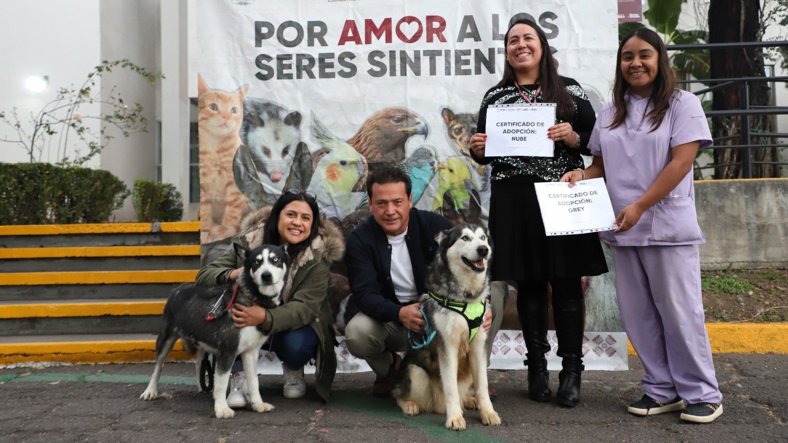 Por amor a los seres sintientes, Gobierno de Puebla propone reforzar su protección