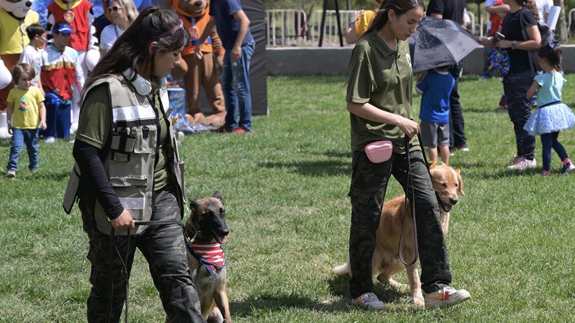 Una experiencia única para tus mascotas. Pet Fest 2026