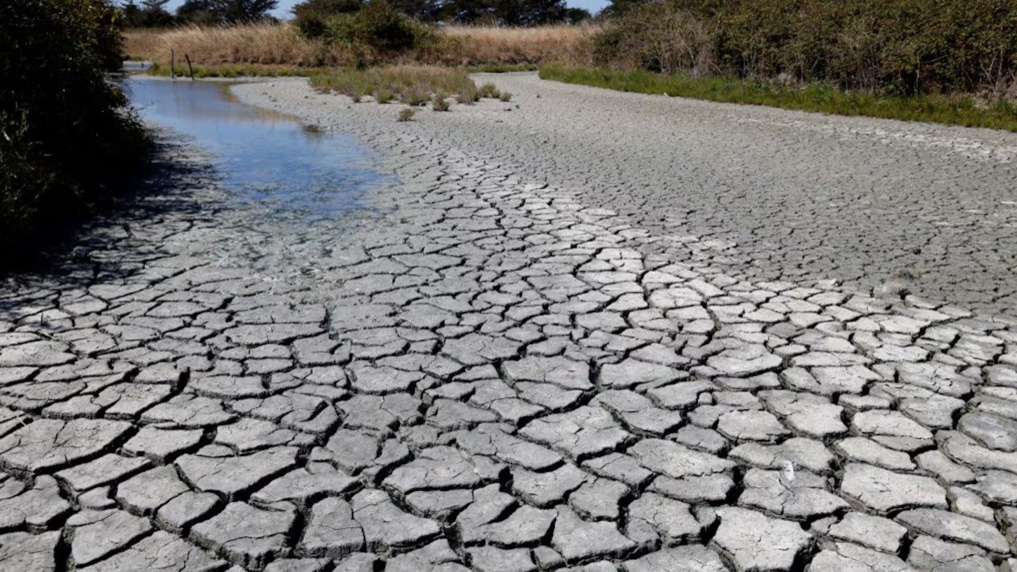 “Niño Godzilla”: el fenómeno climático que podría sacudir al planeta