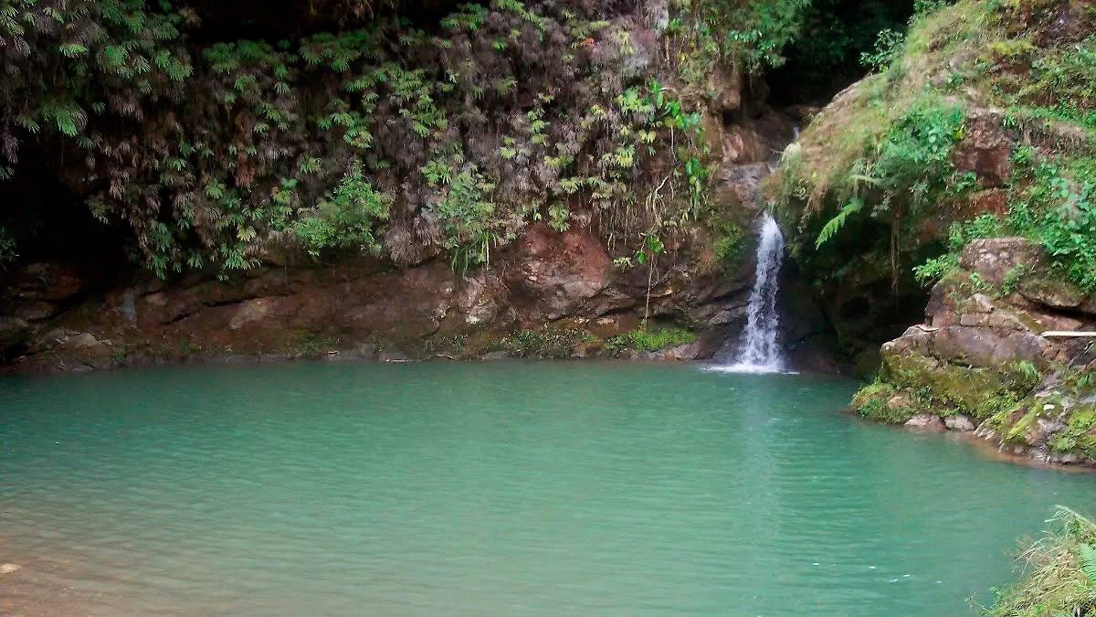 Poza Verde, el paraíso escondido en Puebla que está conquistando al Turismo