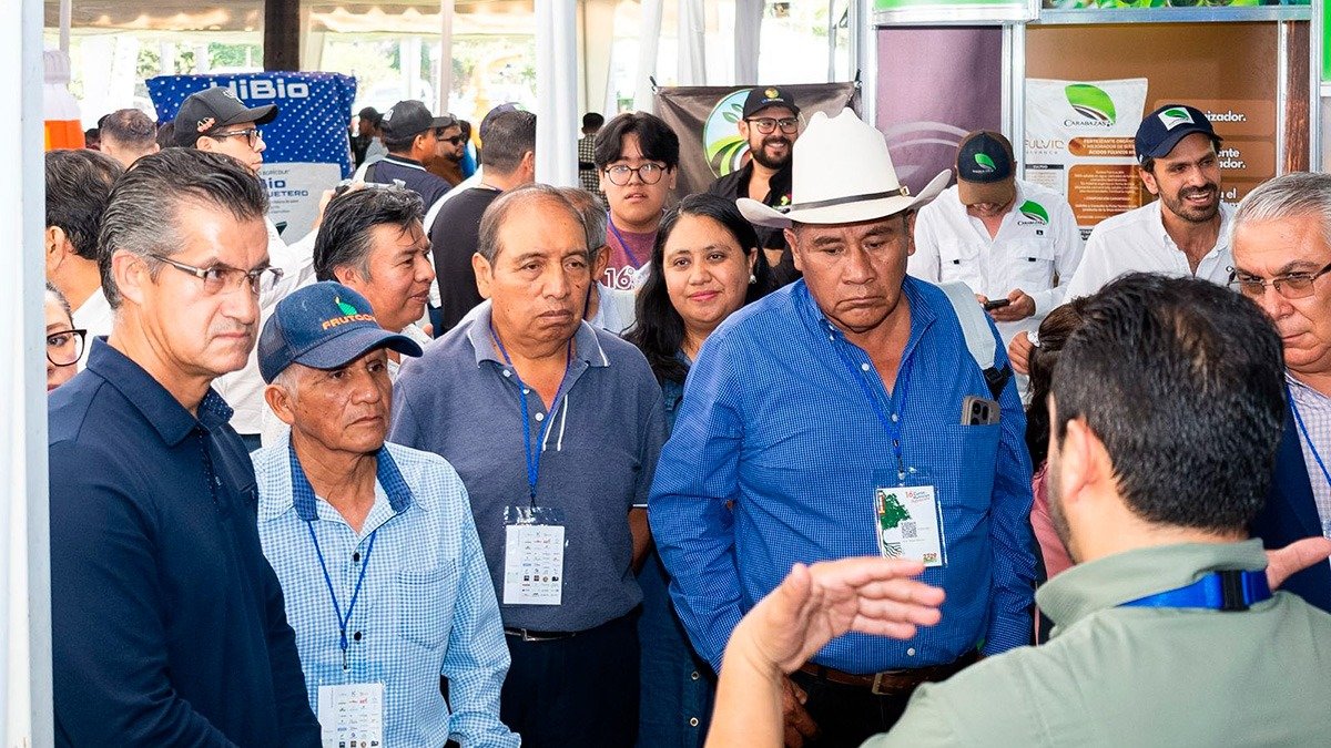 Puebla fortalece e impulsa al sector aguacatero con capacitación especializada