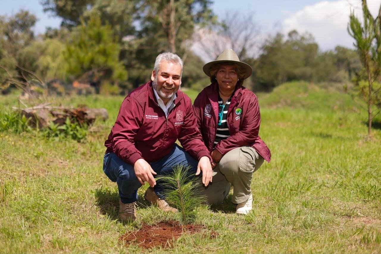El estado sumará 50 millones de árboles reforestados
