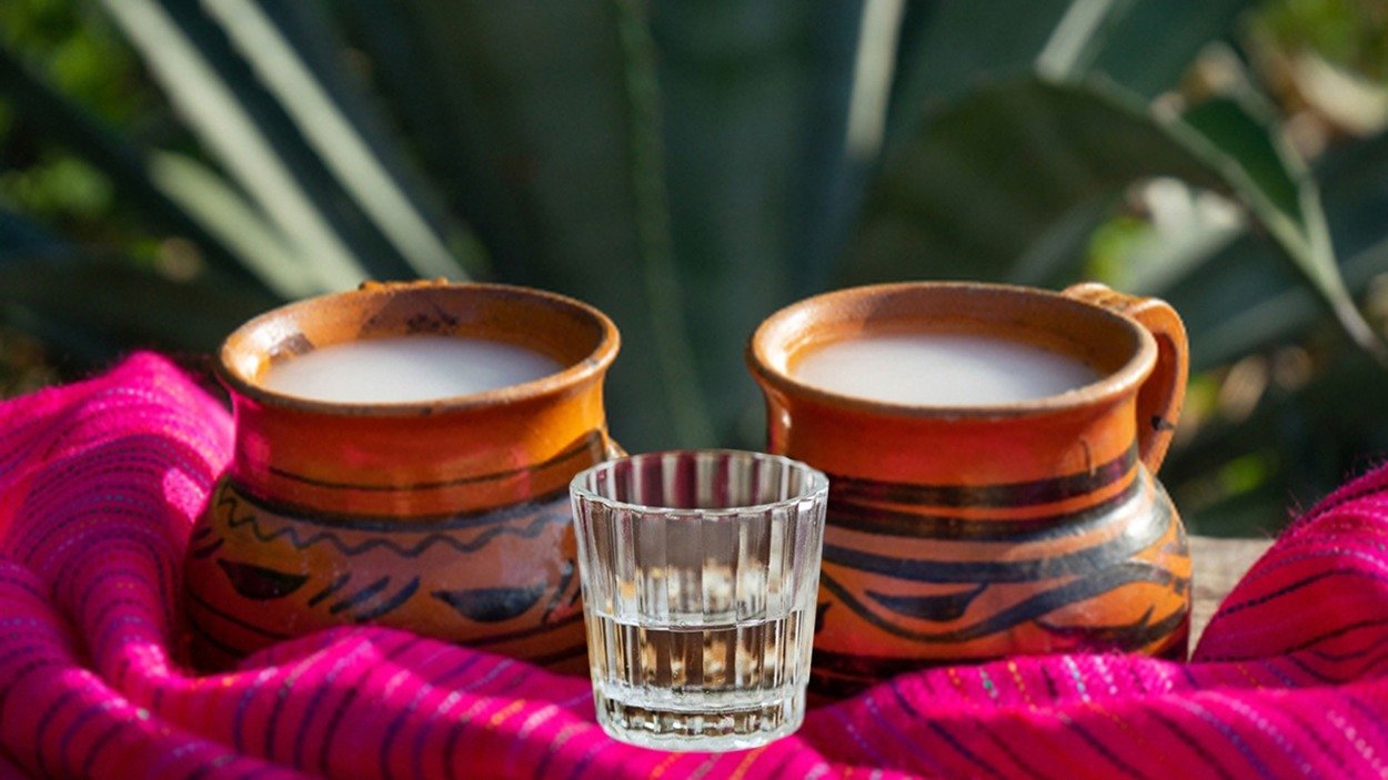 ¡El maguey está de fiesta! llega el Festival del Pulque y Mezcal a la CDMX