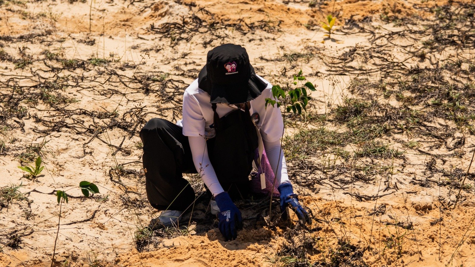 Puebla será sede clave de la Jornada Nacional de Reforestación