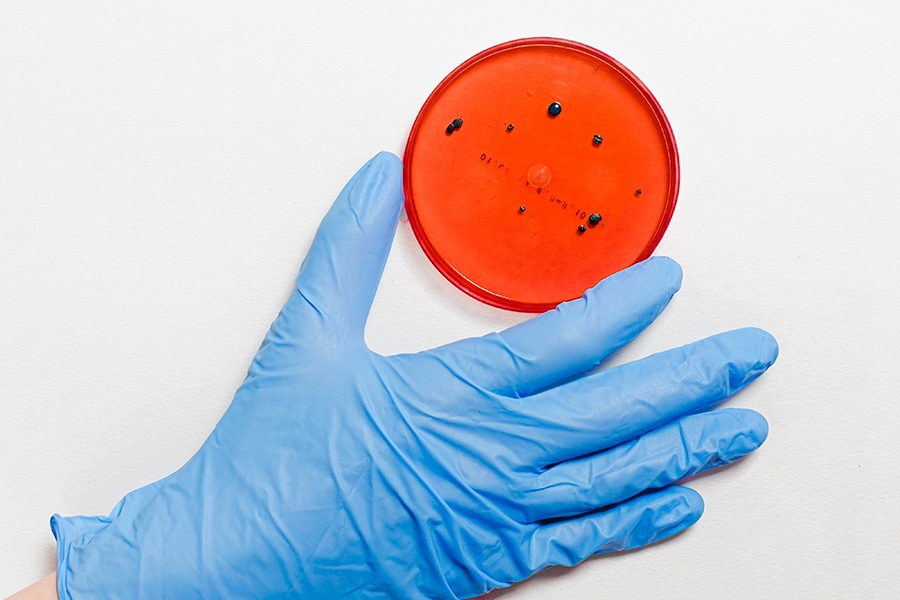 IMSS identifica bacteria en cuatro de los cinco bebés fallecidos en Durango