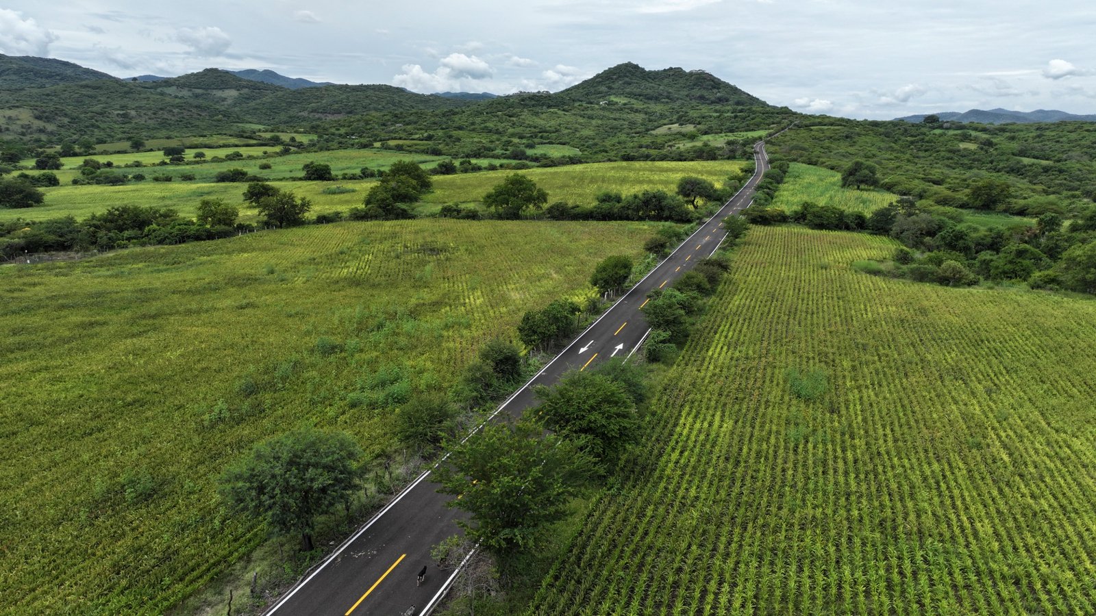Armenta abre camino al desarrollo. Puebla y Morelos, más cerca que nunca
