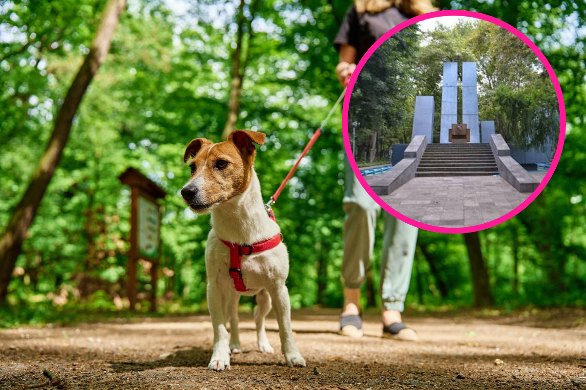 ¡Trampa mortal para lomitos! Investigan posibles cebos envenenados en Parque España 