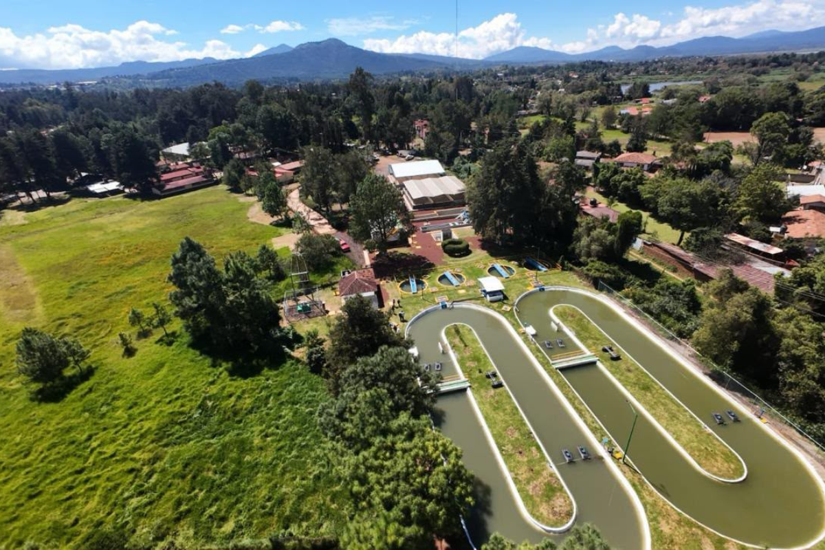 Avanza el saneamiento del lago de Pátzcuaro.